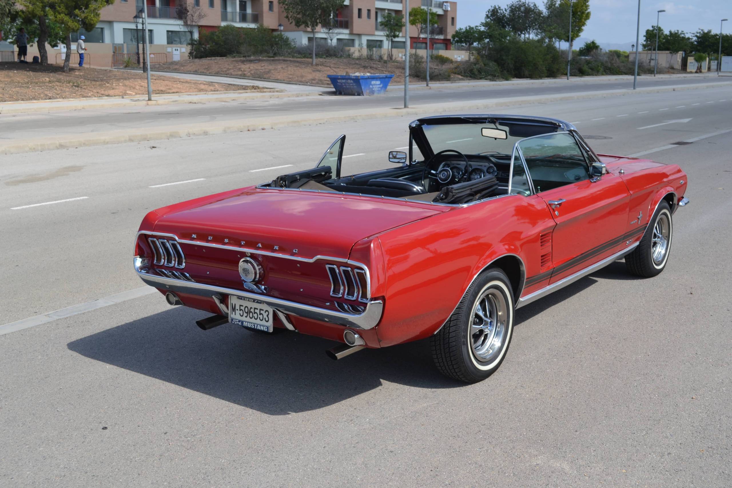 Ford Mustang 247